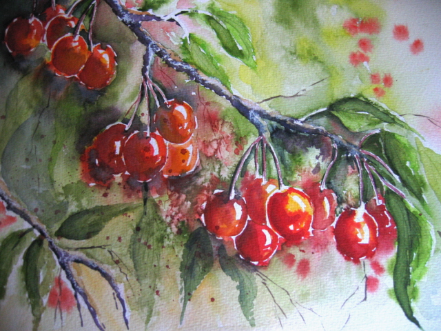 Cerises