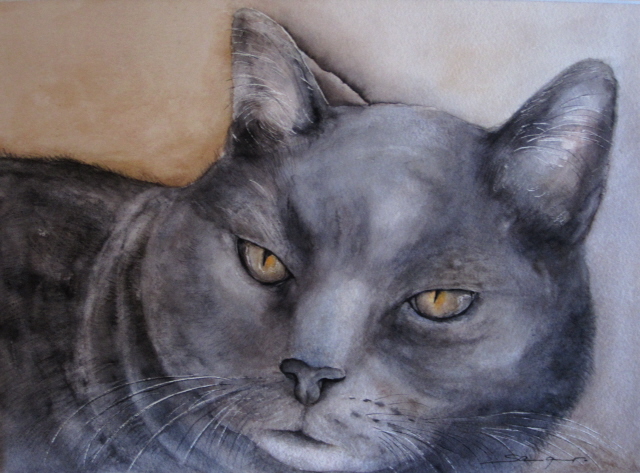 Chartreux